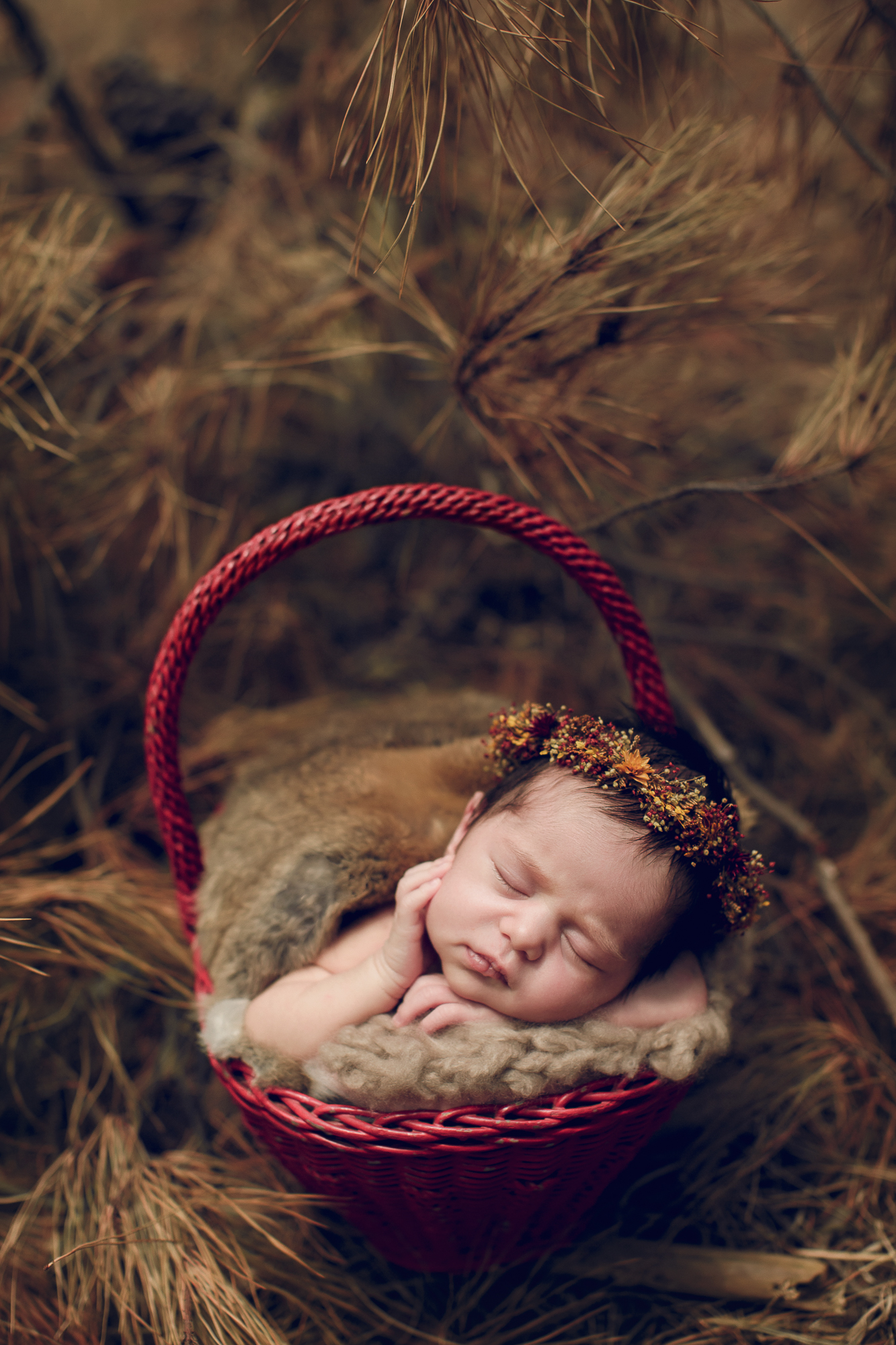 Adelaide Newborn photographer photo of a newborn baby.