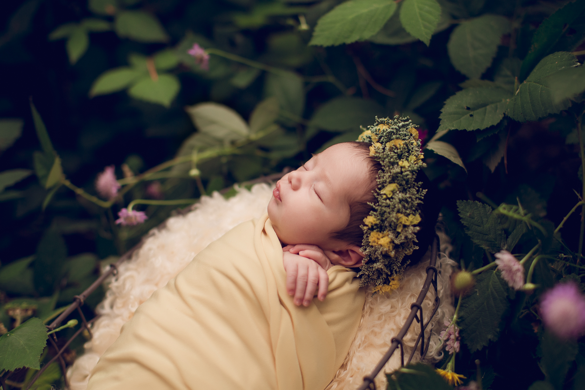 Adelaide Newborn photographer photo of a newborn baby.