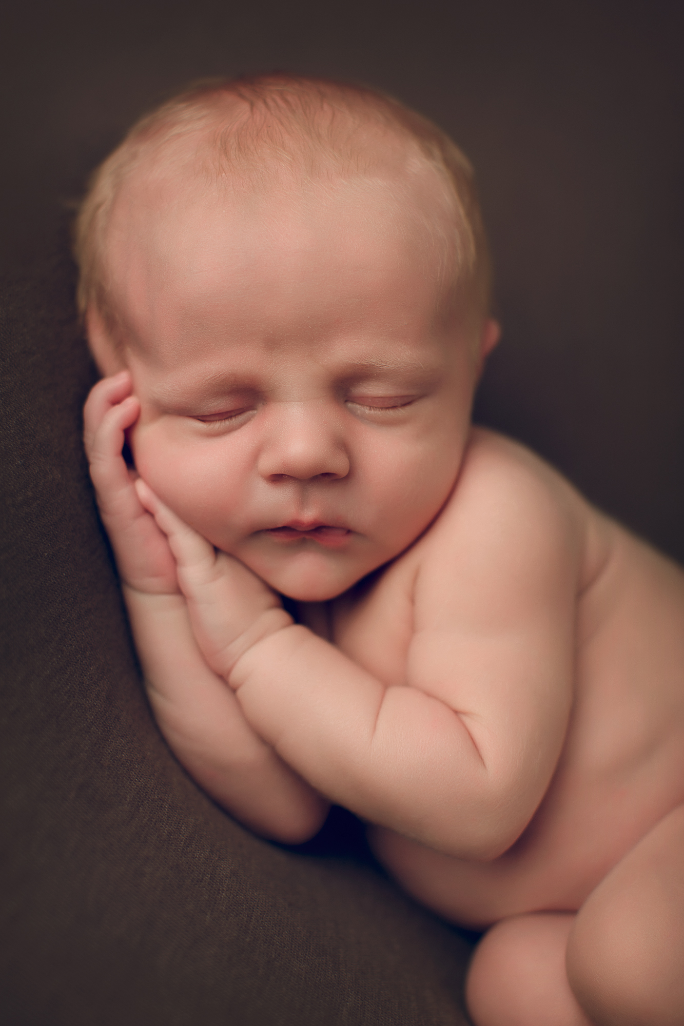Adelaide Newborn photographer photo of a newborn baby.