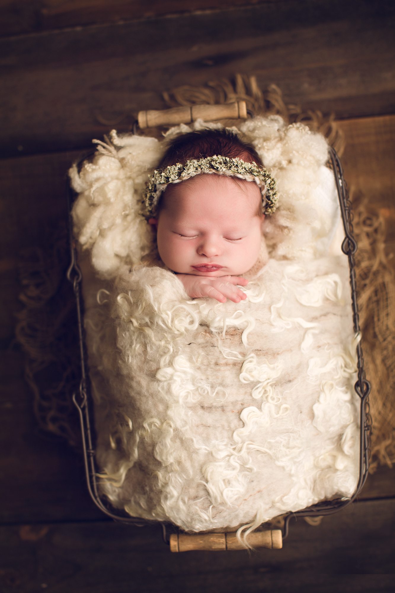 Adelaide Newborn photographer photo of a newborn baby.