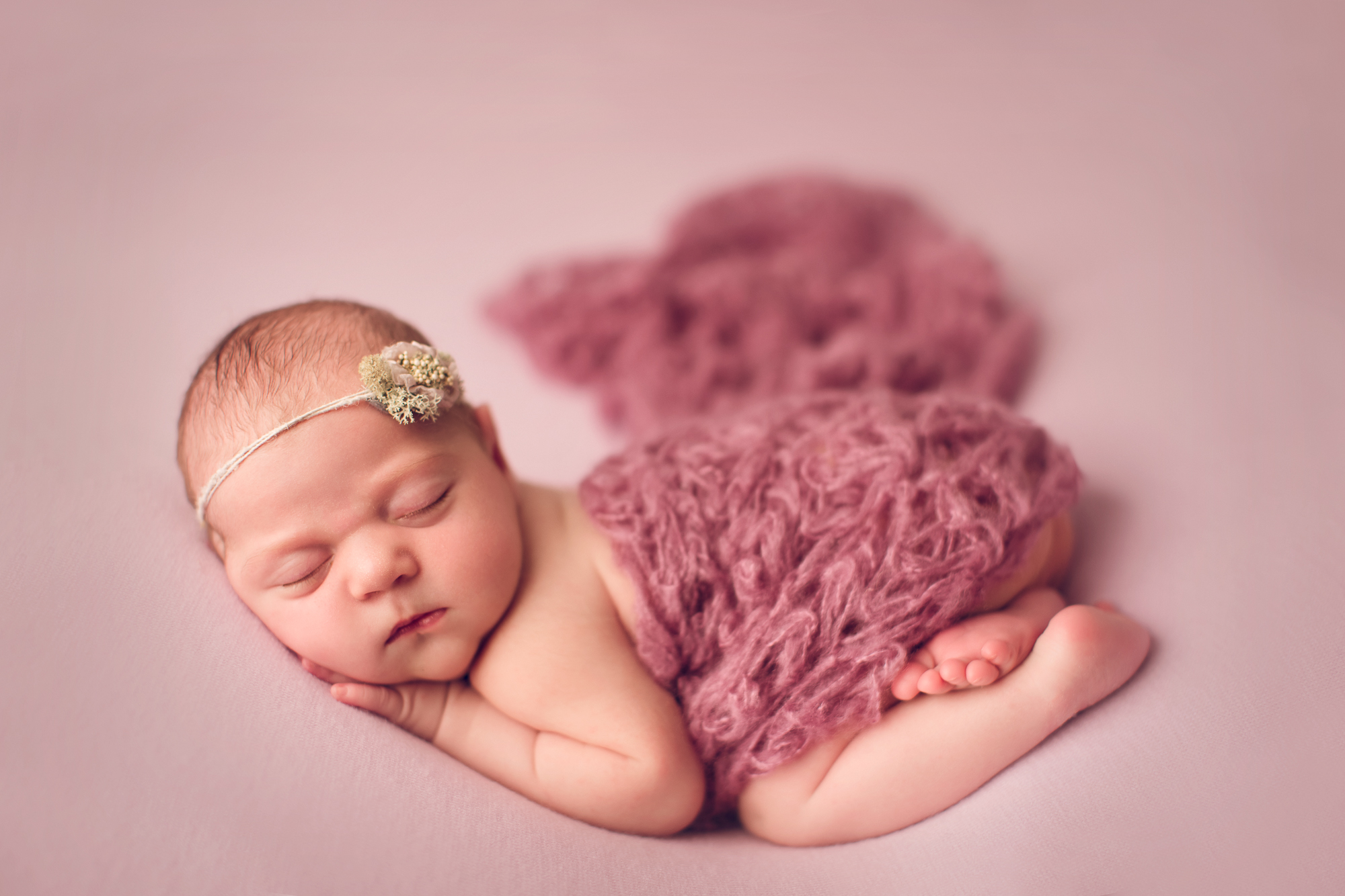 Adelaide Newborn photographer photo of a newborn baby.