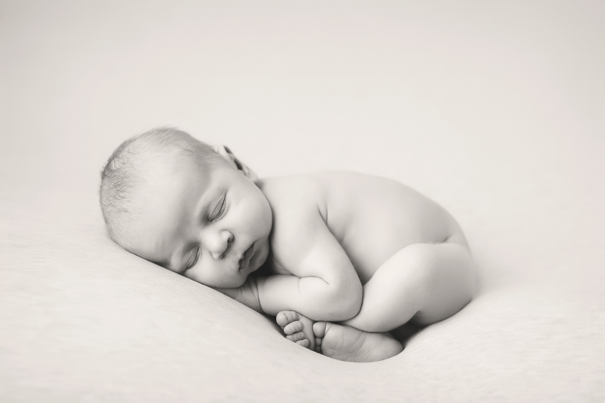 Adelaide Newborn photographer photo of a newborn baby.