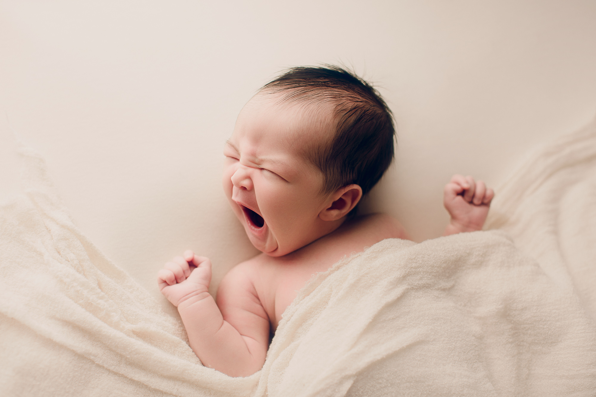 Adelaide newborn baby photographer's photo of a newborn baby girl.