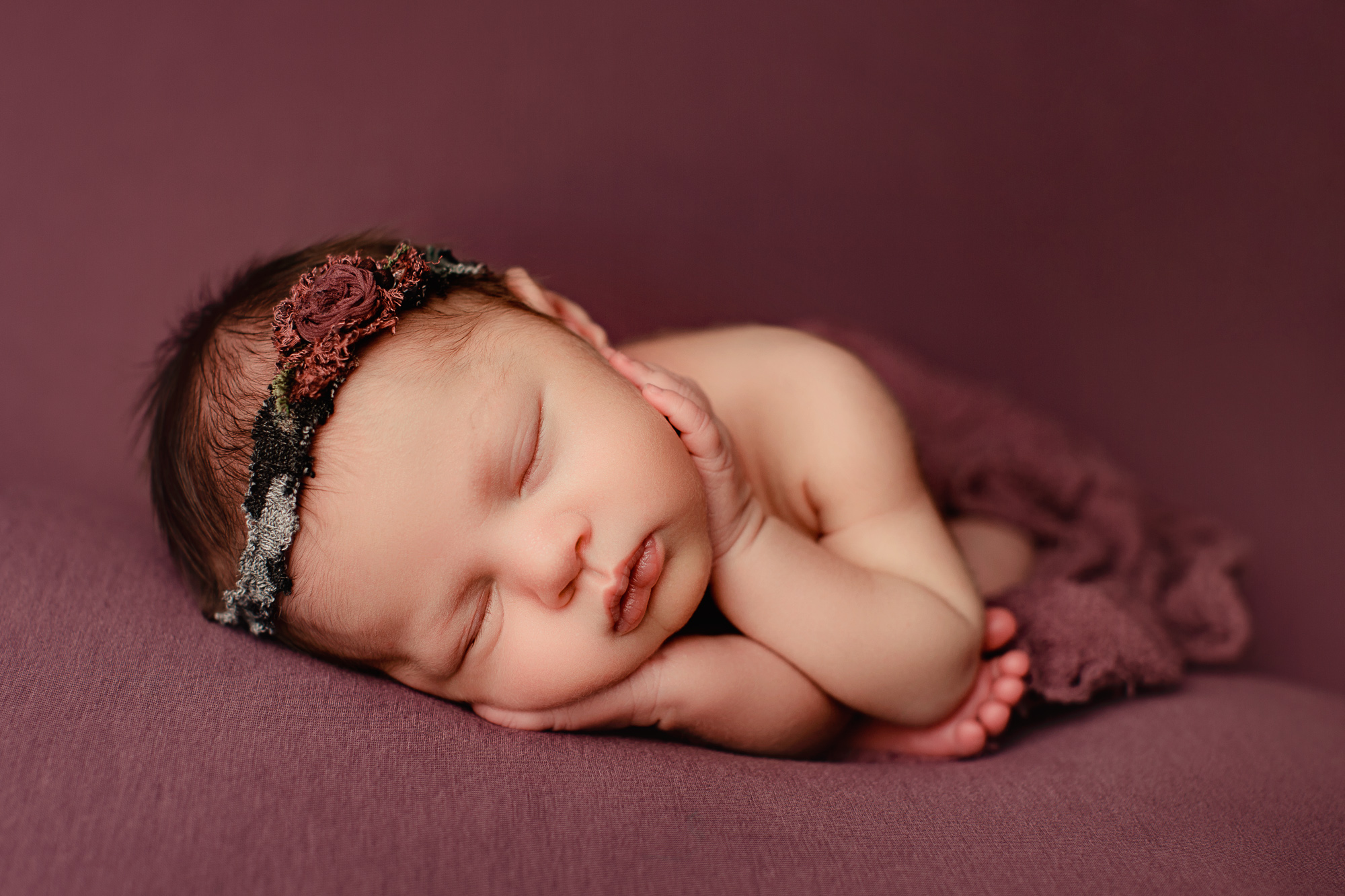 Adelaide newborn baby photographer's photo of a newborn baby girl.