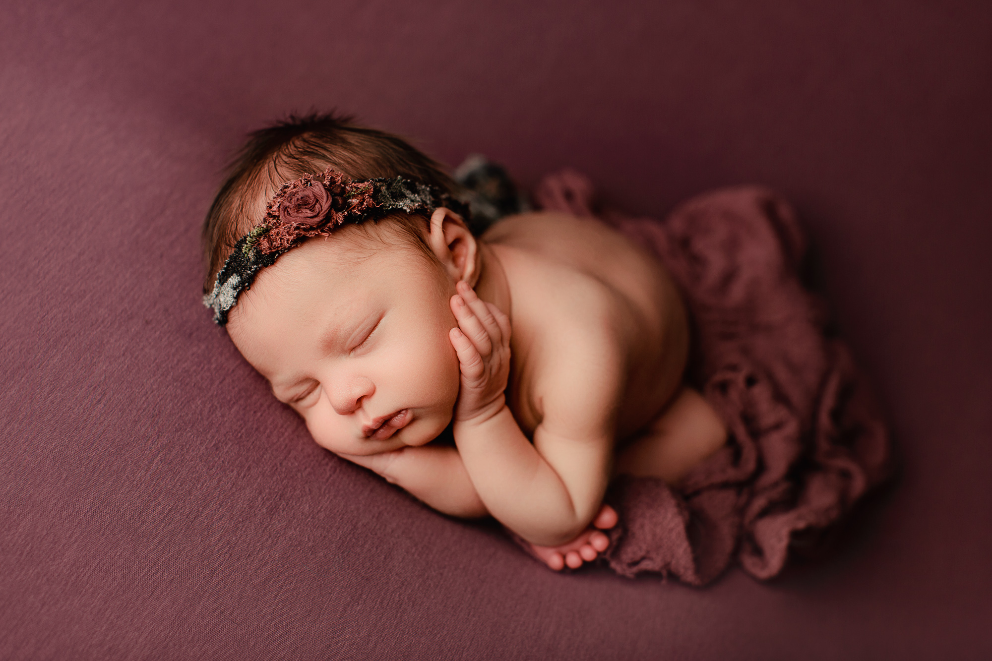 Adelaide newborn baby photographer's photo of a newborn baby girl.